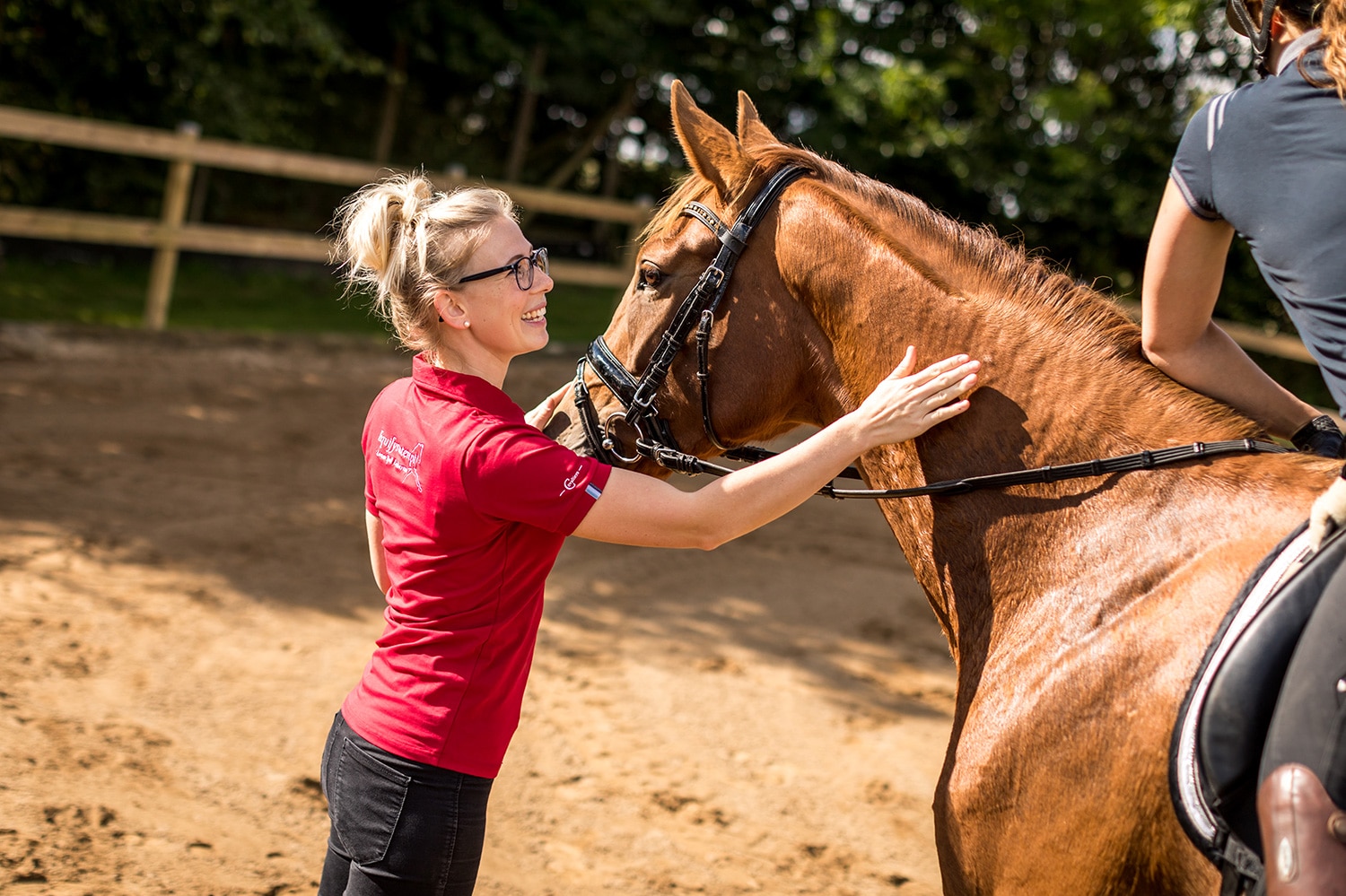 Hestefysioterapeut på hest